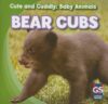 Bear Cubs