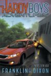 Into Thin Air #4 (Hardy Boys Adventures)