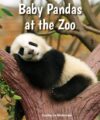 Baby Pandas at the Zoo (All about Baby Zoo Animals