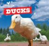 Ducks (Farmyard Friends)