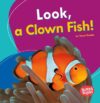 Look a Clown Fish!