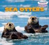 Sea Otters