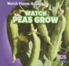 Watch Peas Grow