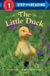 Little Duck (Step Into Reading Level 1)