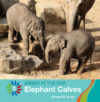 Elephant Calves (Babies at the Zoo)