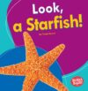 Look a Starfish!