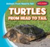 Turtles from Head to Tail