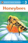 Honeybees ( All Aboard Reading: Level 2 )