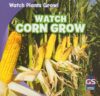 Watch Corn Grow