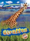 Giraffes (Animals of the Grasslands)
