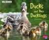 Ducks and Their Ducklings: A 4D Book (Animal Offsp