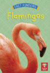 Flamingos (Reading Gems Fact Finders)