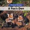 Fox's Den