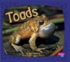 Toads (Amphibians)
