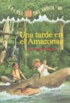Tarde En El Amazonas #6 = Afternoon on the Amazon