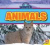 Animals (All the Winter)