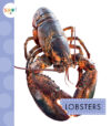 Lobsters
