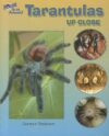 Tarantulas Up Close