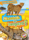 Cheetah or Leopard? (Spotting Differences)