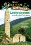 LEPRECHAUNS & IRISH FOLKLORE (MTH GUIDE)