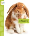 Rabbits (Spot Pets)