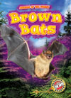 Brown Bats (Animals of the Forest)