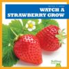 Watch a Strawberry Grow (Watch It Grow)