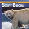 Spirit Bears (Welcome to the World)