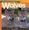 Wolves (Welcome to the World)