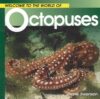 Octopuses (Welcome to the World)