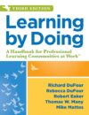 Learning by Doing: A Handbook for Professional 3e