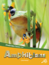 Amphibians (Animals Have Classes Too!)(LB)