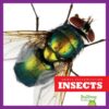 Insects (Animal Classification)