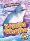 Beluga Whales (Animals of the Arctic)