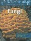 Fungi: Mushrooms Toadstools Molds Yeasts and(LB)