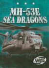 MH-53E Sea Dragons (Military Machines)