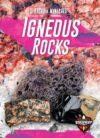 Igneous Rocks (Rocks & Minerals)