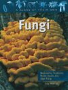 Fungi: Mushrooms Toadstools Molds Yeasts and Other