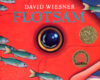 Flotsam  (2007 Caldecott Medal)