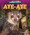 Aye-Aye (Library of Awesome Animals)(LB)