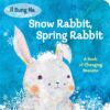 Snow Rabbit Spring Rabbit (Board)