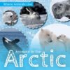 Animals in the Arctic (Where Animals Live)(LB)