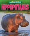 Hippopotamus (Library of Awesome Animals)(LB)