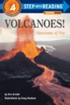 Volcanoes!: Mountains of Fire (SIR LVL4)