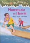 Maremoto En Hawi #28 = High Tide in Hawaii