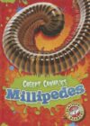 Millipedes (Creepy Crawlies)