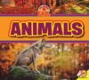 Animals (All about Fall)