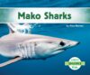 Mako Sharks (Sharks)