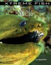 Eels (Xtreme Fish)