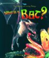What Is a Bat? (Science of Living Things)